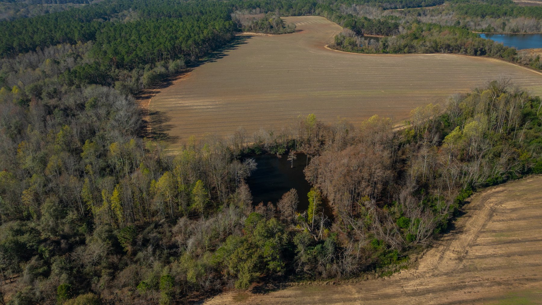 Image for Swallow Lane Farm - 157± Acres - Irwin County, Georgia - Income-Producing Row Crop Farmland & Recreational Retreat