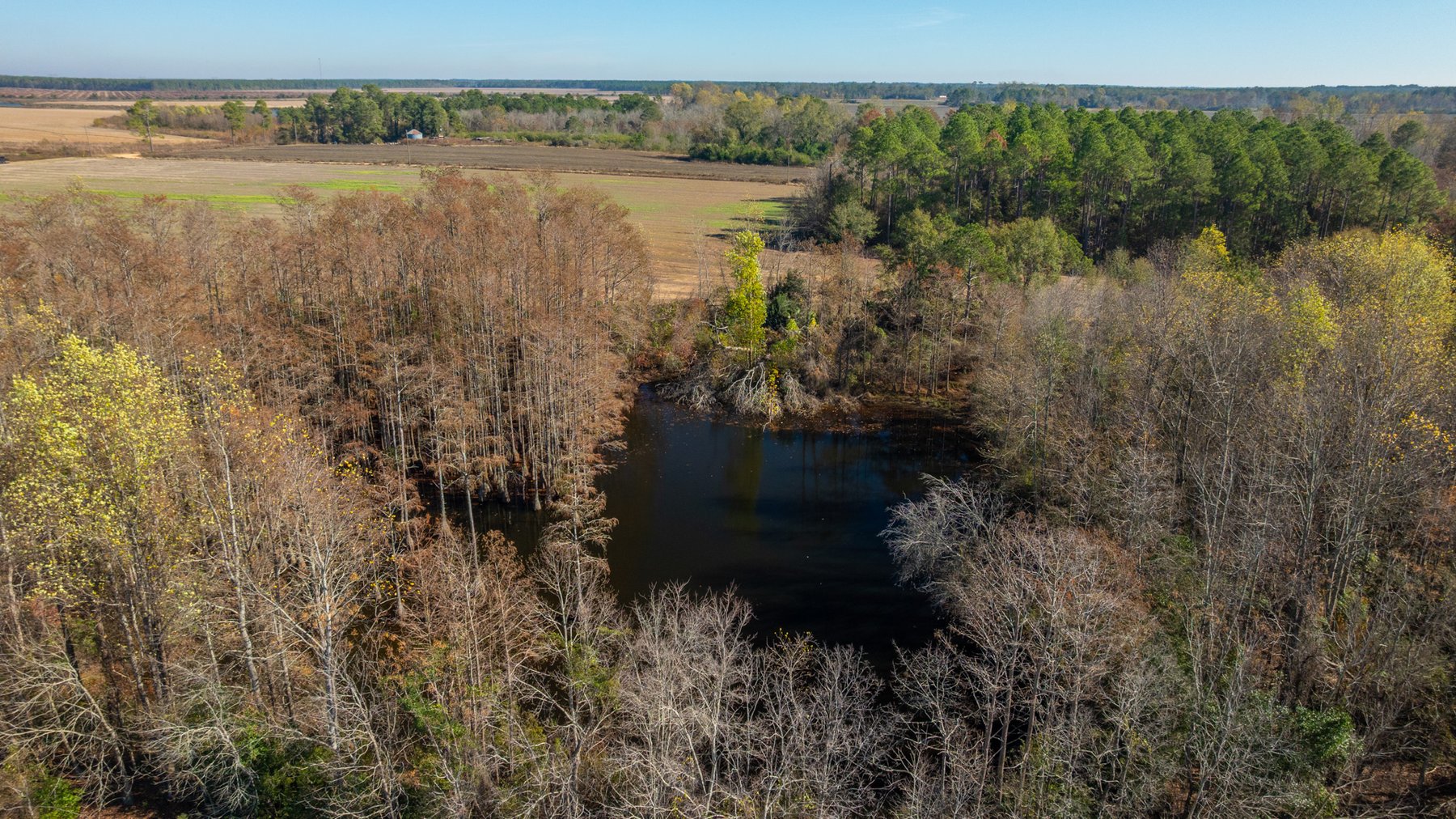 Image for Swallow Lane Farm - 157± Acres - Irwin County, Georgia - Income-Producing Row Crop Farmland & Recreational Retreat