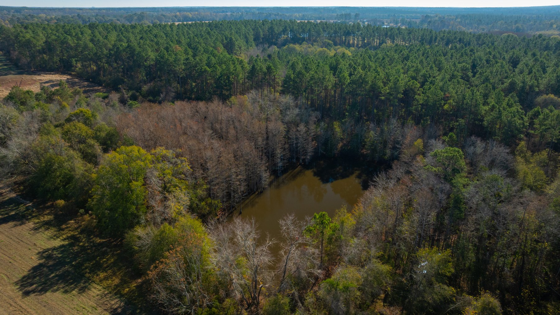 Image for Swallow Lane Farm - 157± Acres - Irwin County, Georgia - Income-Producing Row Crop Farmland & Recreational Retreat