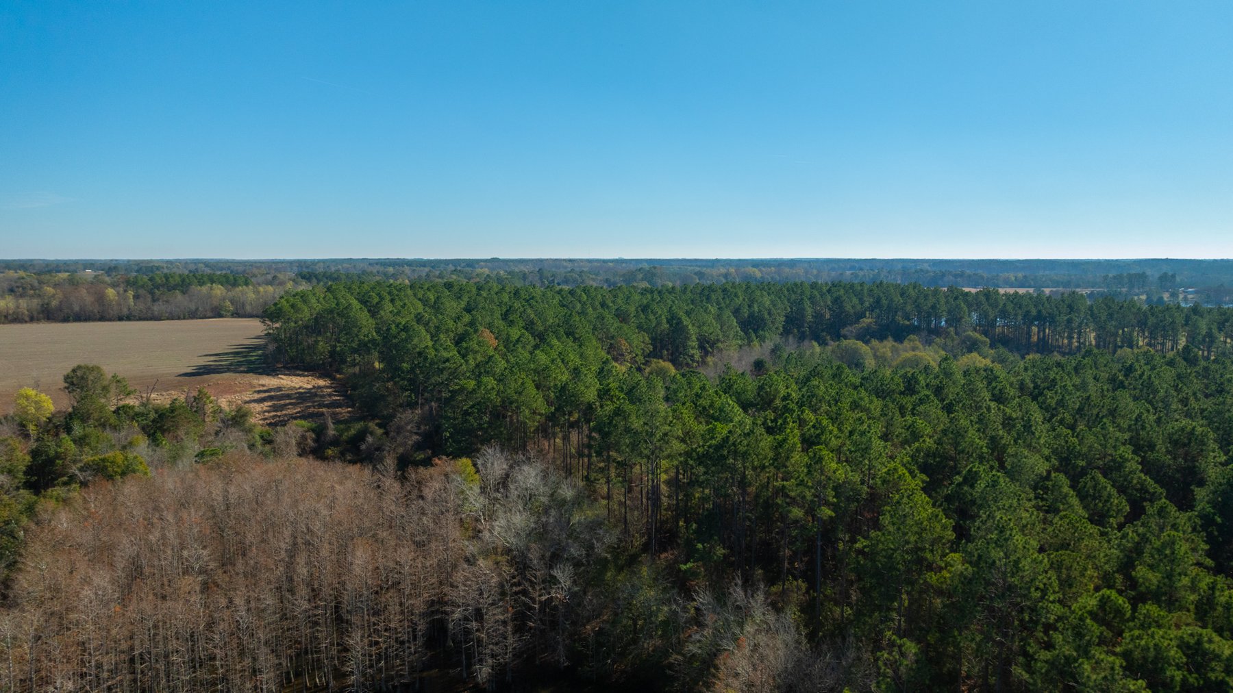 Image for Swallow Lane Farm - 157± Acres - Irwin County, Georgia - Income-Producing Row Crop Farmland & Recreational Retreat