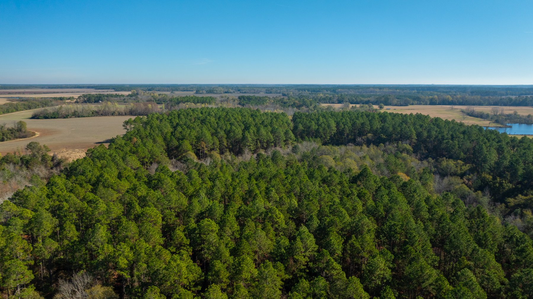 Image for Swallow Lane Farm - 157± Acres - Irwin County, Georgia - Income-Producing Row Crop Farmland & Recreational Retreat