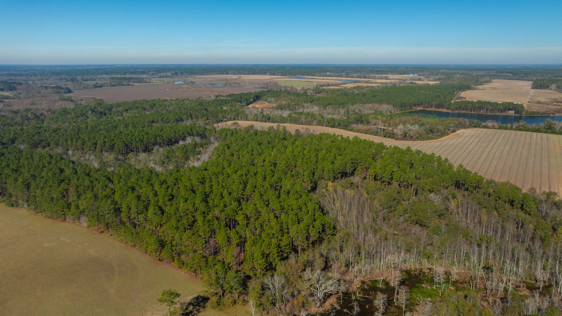 Image for Swallow Lane Farm - 157± Acres - Irwin County, Georgia - Income-Producing Row Crop Farmland & Recreational Retreat