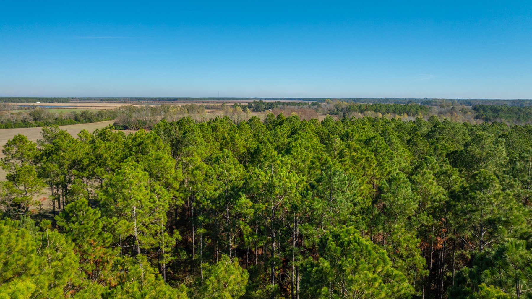 Image for Swallow Lane Farm - 157± Acres - Irwin County, Georgia - Income-Producing Row Crop Farmland & Recreational Retreat