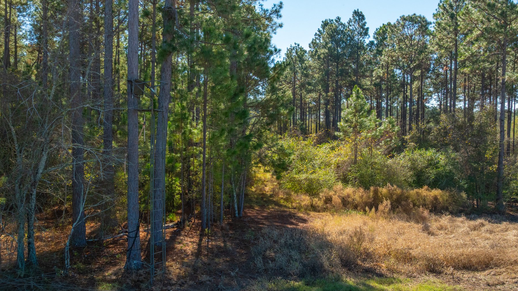 Image for Swallow Lane Farm - 157± Acres - Irwin County, Georgia - Income-Producing Row Crop Farmland & Recreational Retreat