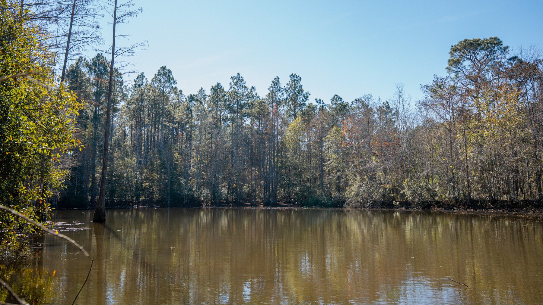 Image for Swallow Lane Farm - 157± Acres - Irwin County, Georgia - Income-Producing Row Crop Farmland & Recreational Retreat