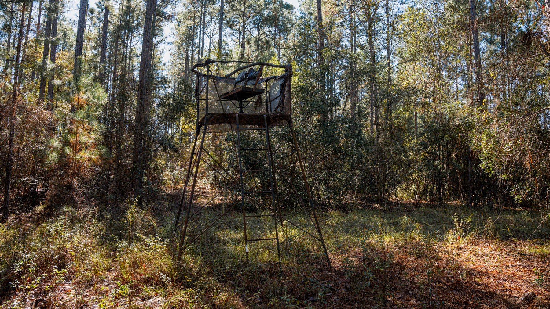 Image for Swallow Lane Farm - 157± Acres - Irwin County, Georgia - Income-Producing Row Crop Farmland & Recreational Retreat