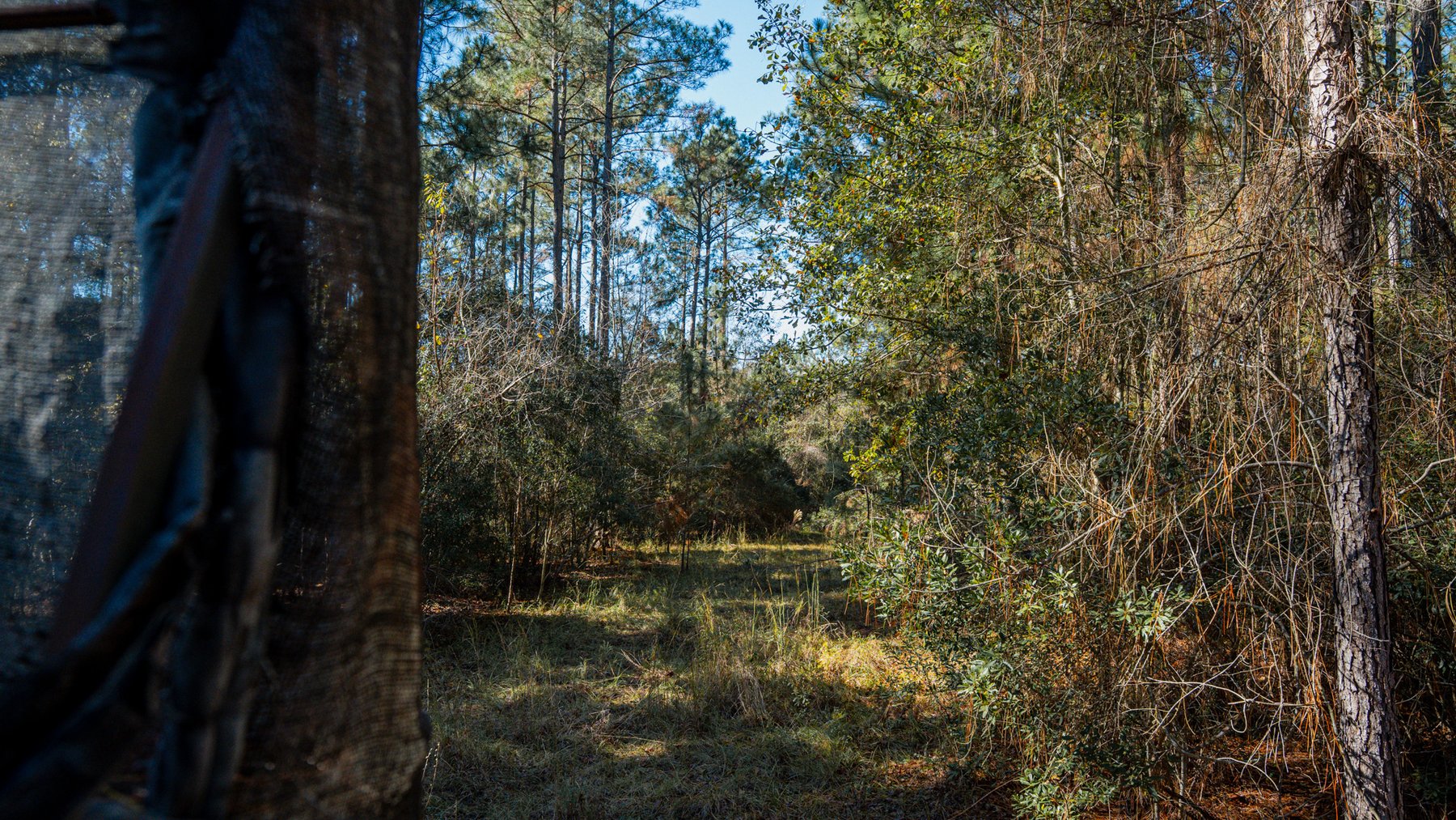 Image for Swallow Lane Farm - 157± Acres - Irwin County, Georgia - Income-Producing Row Crop Farmland & Recreational Retreat