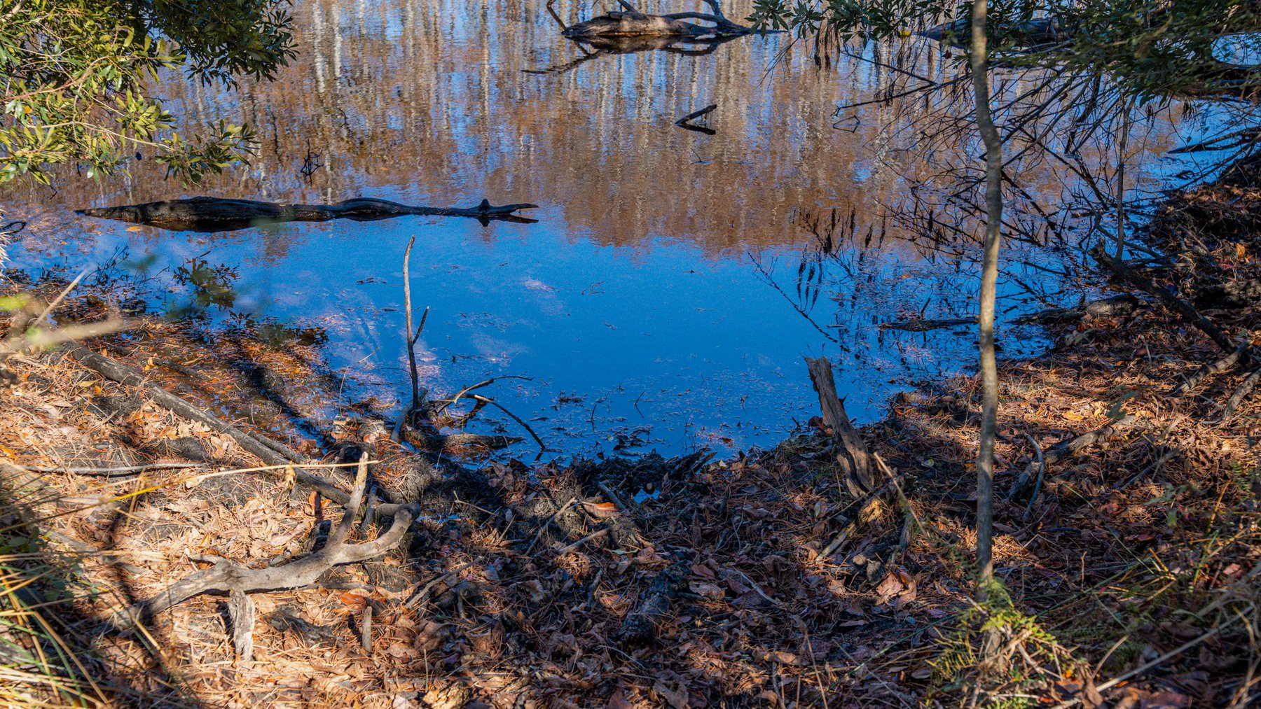 Image for Swallow Lane Farm - 157± Acres - Irwin County, Georgia - Income-Producing Row Crop Farmland & Recreational Retreat