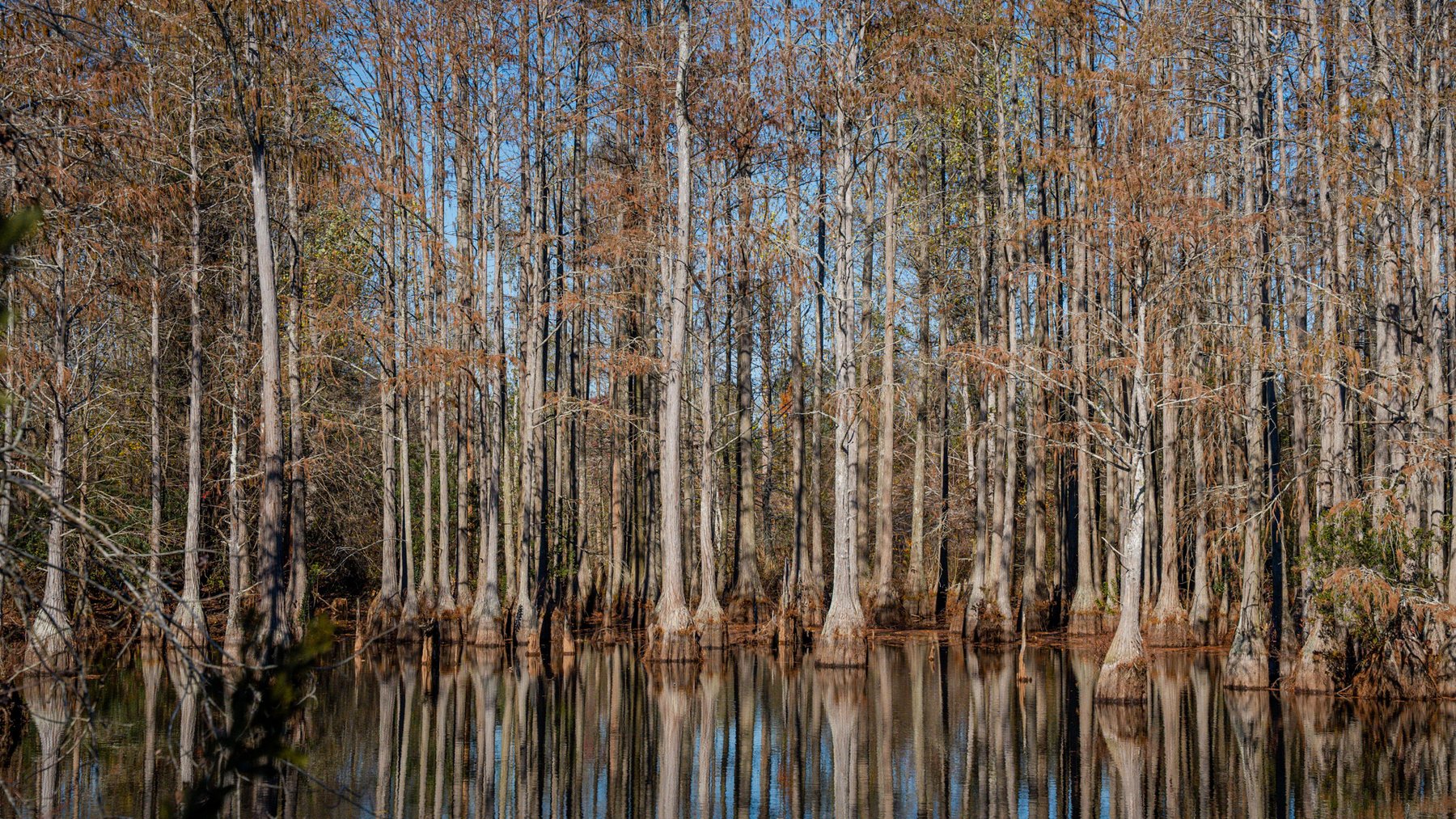 Image for Swallow Lane Farm - 157± Acres - Irwin County, Georgia - Income-Producing Row Crop Farmland & Recreational Retreat