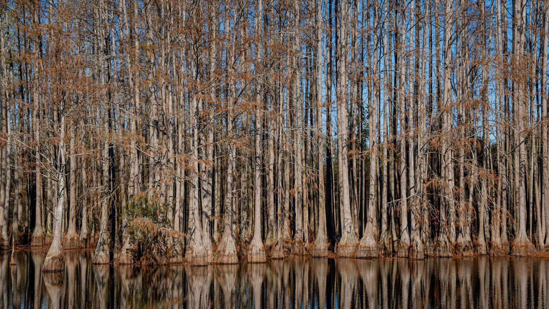 Image for Swallow Lane Farm - 157± Acres - Irwin County, Georgia - Income-Producing Row Crop Farmland & Recreational Retreat
