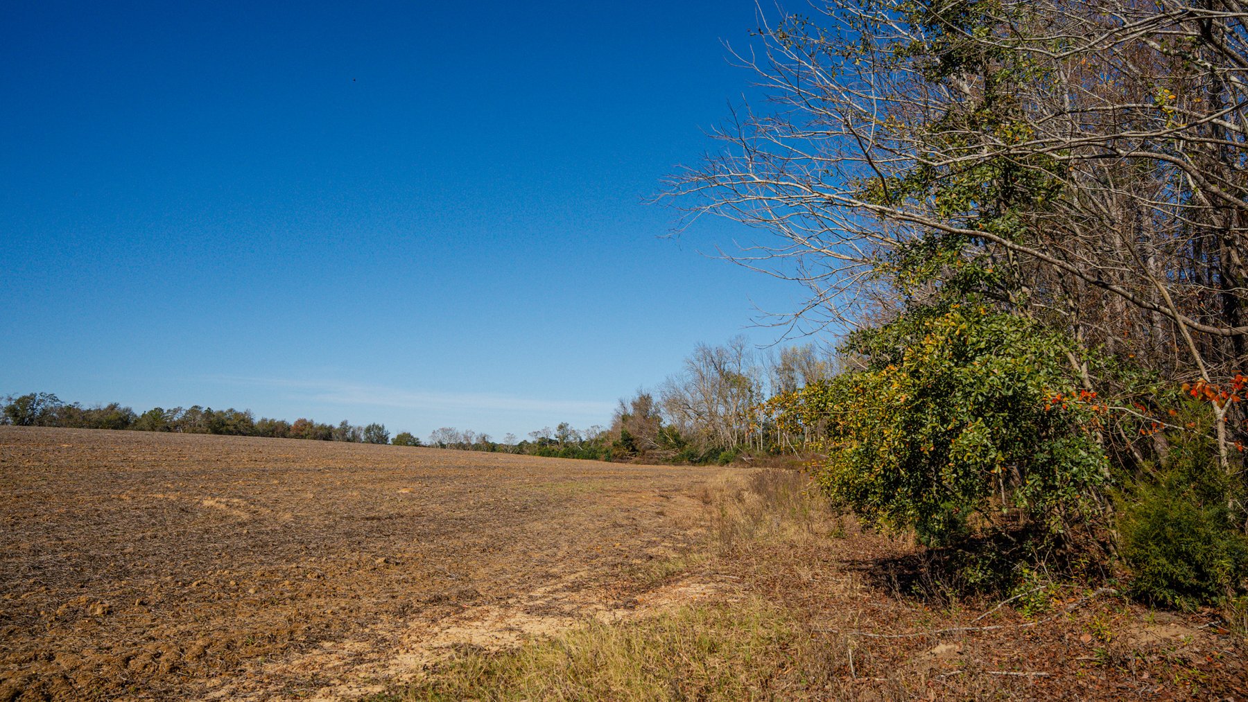 Image for Swallow Lane Farm - 157± Acres - Irwin County, Georgia - Income-Producing Row Crop Farmland & Recreational Retreat