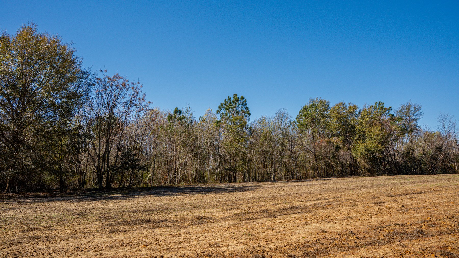 Image for Swallow Lane Farm - 157± Acres - Irwin County, Georgia - Income-Producing Row Crop Farmland & Recreational Retreat