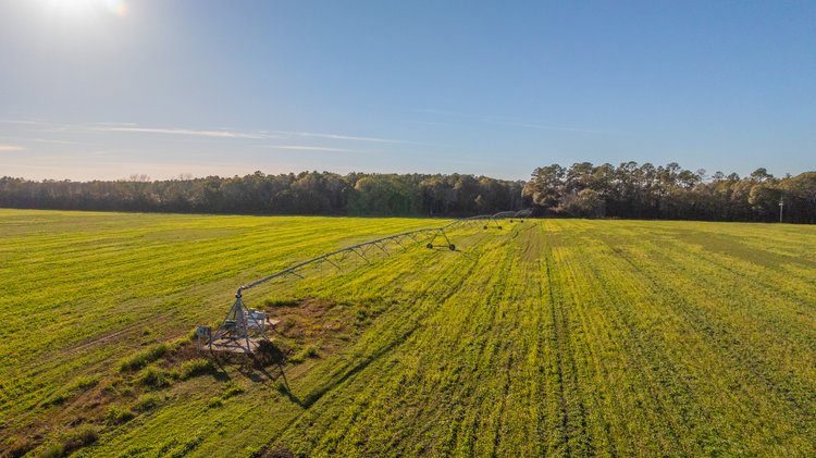 Image for The Glenn Farm Property - 377.6+/- Total Acres - Mitchell County, Georgia