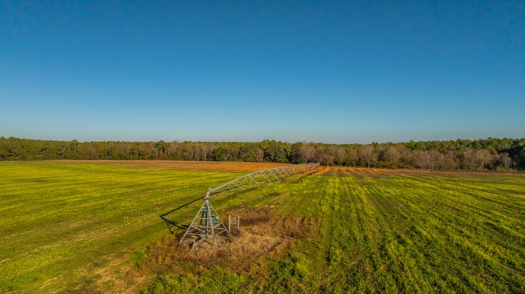 Image for The Glenn Farm Property - 377.6+/- Total Acres - Mitchell County, Georgia