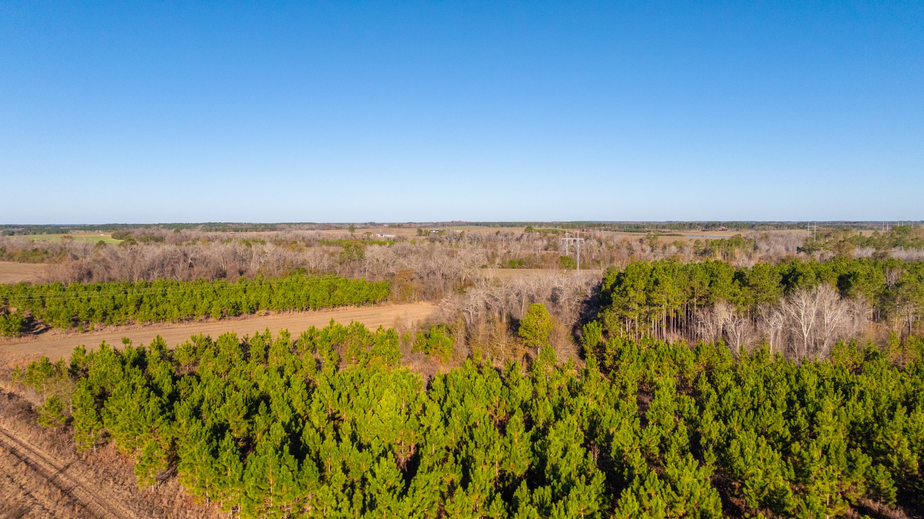 Image for 294+/- Acres – Hester Farm - Exceptional Hunting Opportunity - Versatile Farmland, Timber, & Ponds Offered Divided & as a Whole