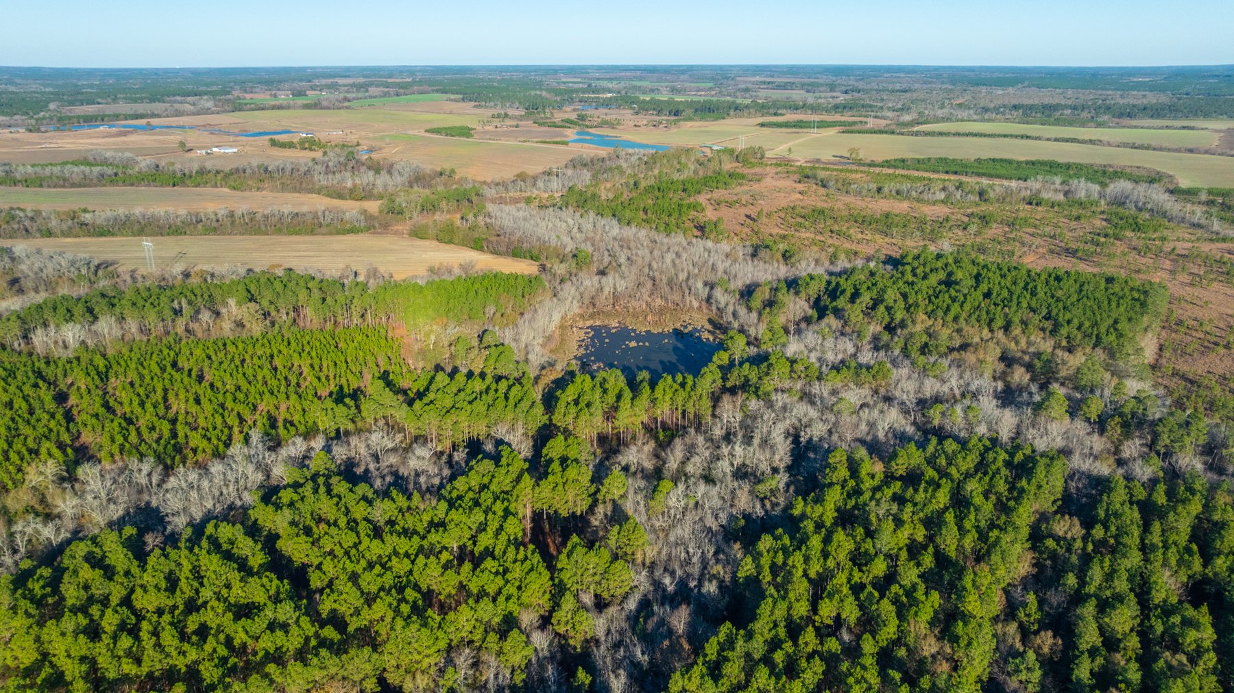 Image for 294+/- Acres – Hester Farm - Exceptional Hunting Opportunity - Versatile Farmland, Timber, & Ponds Offered Divided & as a Whole