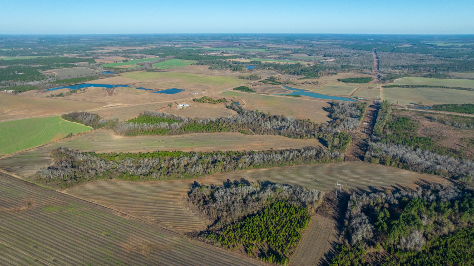 Image for 294+/- Acres – Hester Farm - Exceptional Hunting Opportunity - Versatile Farmland, Timber, & Ponds Offered Divided & as a Whole