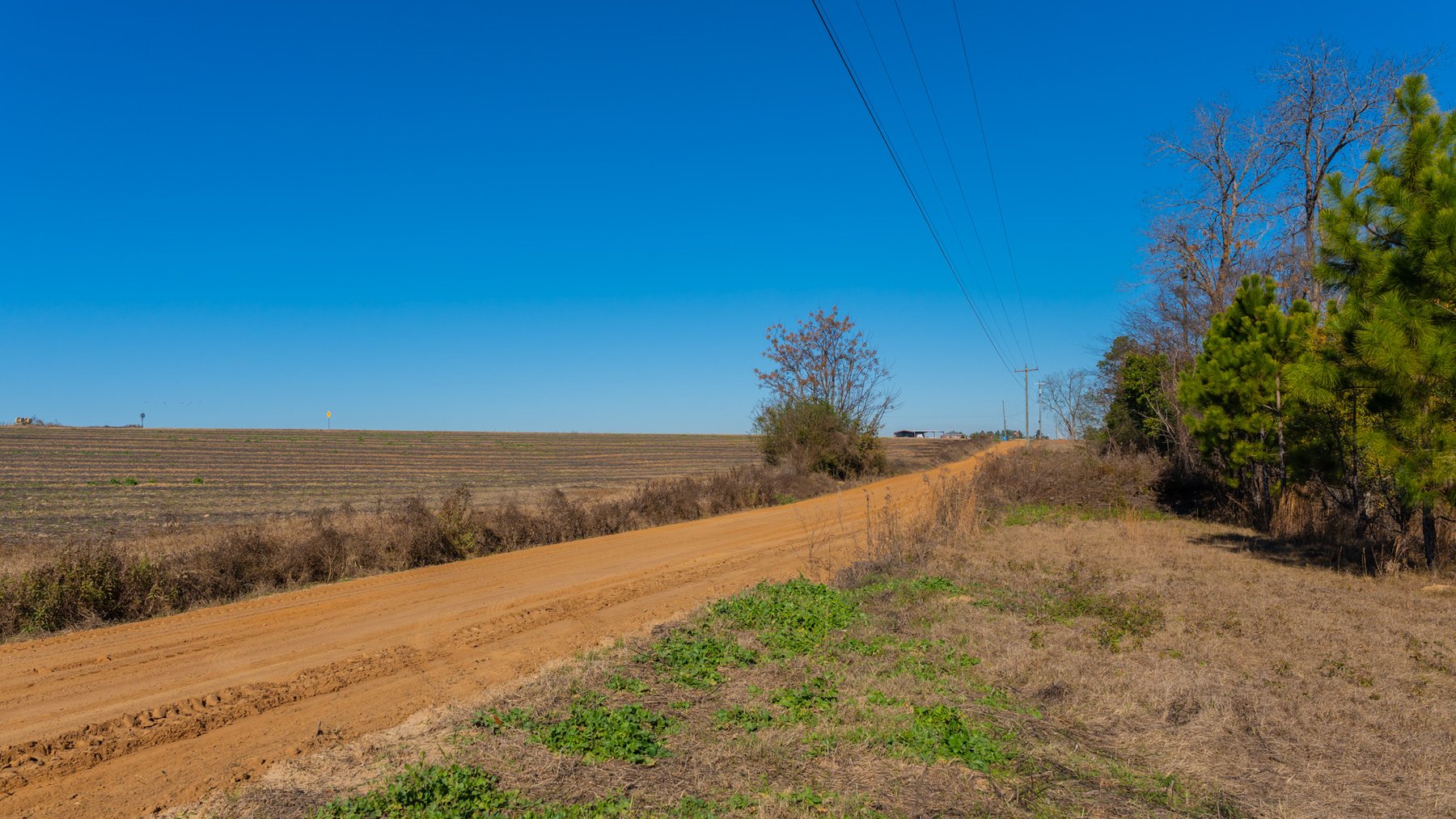 Image for 294+/- Acres – Hester Farm - Exceptional Hunting Opportunity - Versatile Farmland, Timber, & Ponds Offered Divided & as a Whole