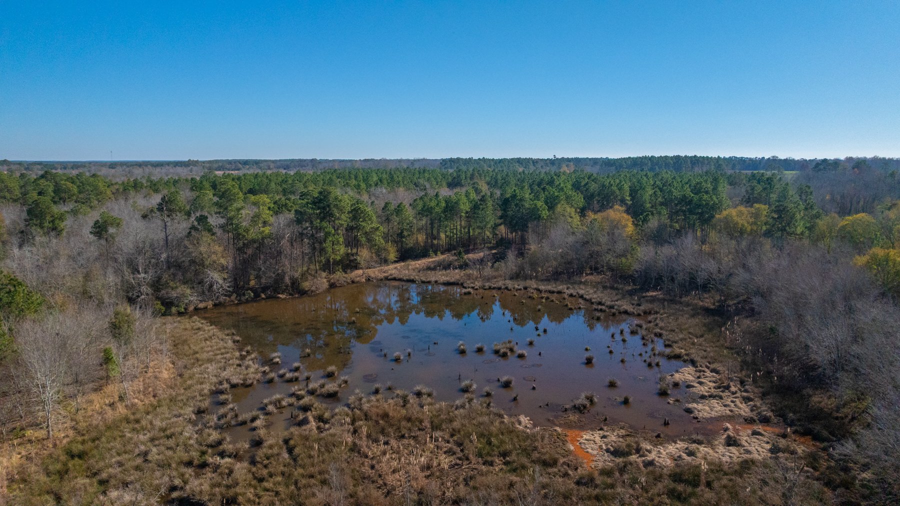 Image for 294+/- Acres – Hester Farm - Exceptional Hunting Opportunity - Versatile Farmland, Timber, & Ponds Offered Divided & as a Whole