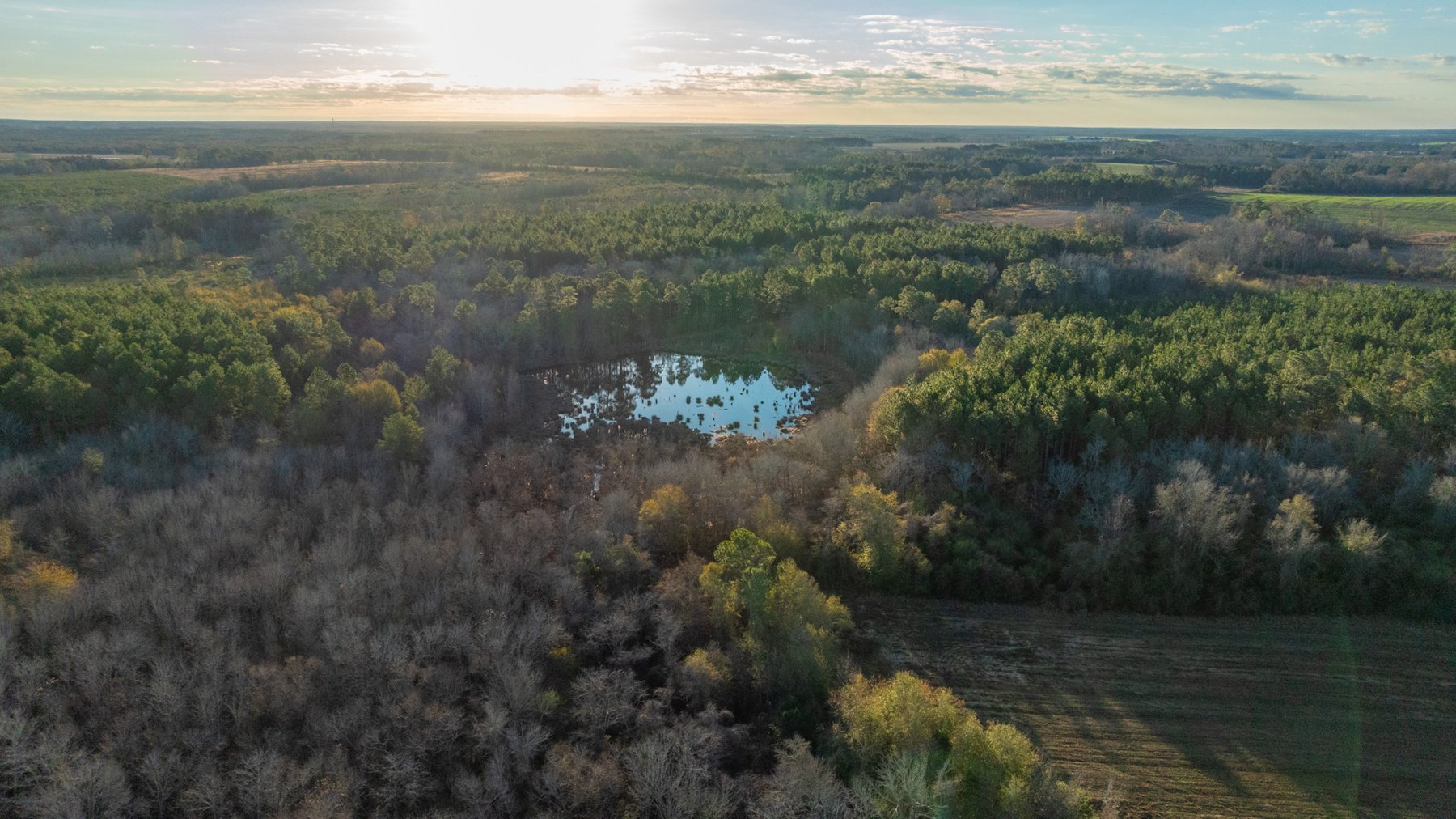 Image for 294+/- Acres – Hester Farm - Exceptional Hunting Opportunity - Versatile Farmland, Timber, & Ponds Offered Divided & as a Whole