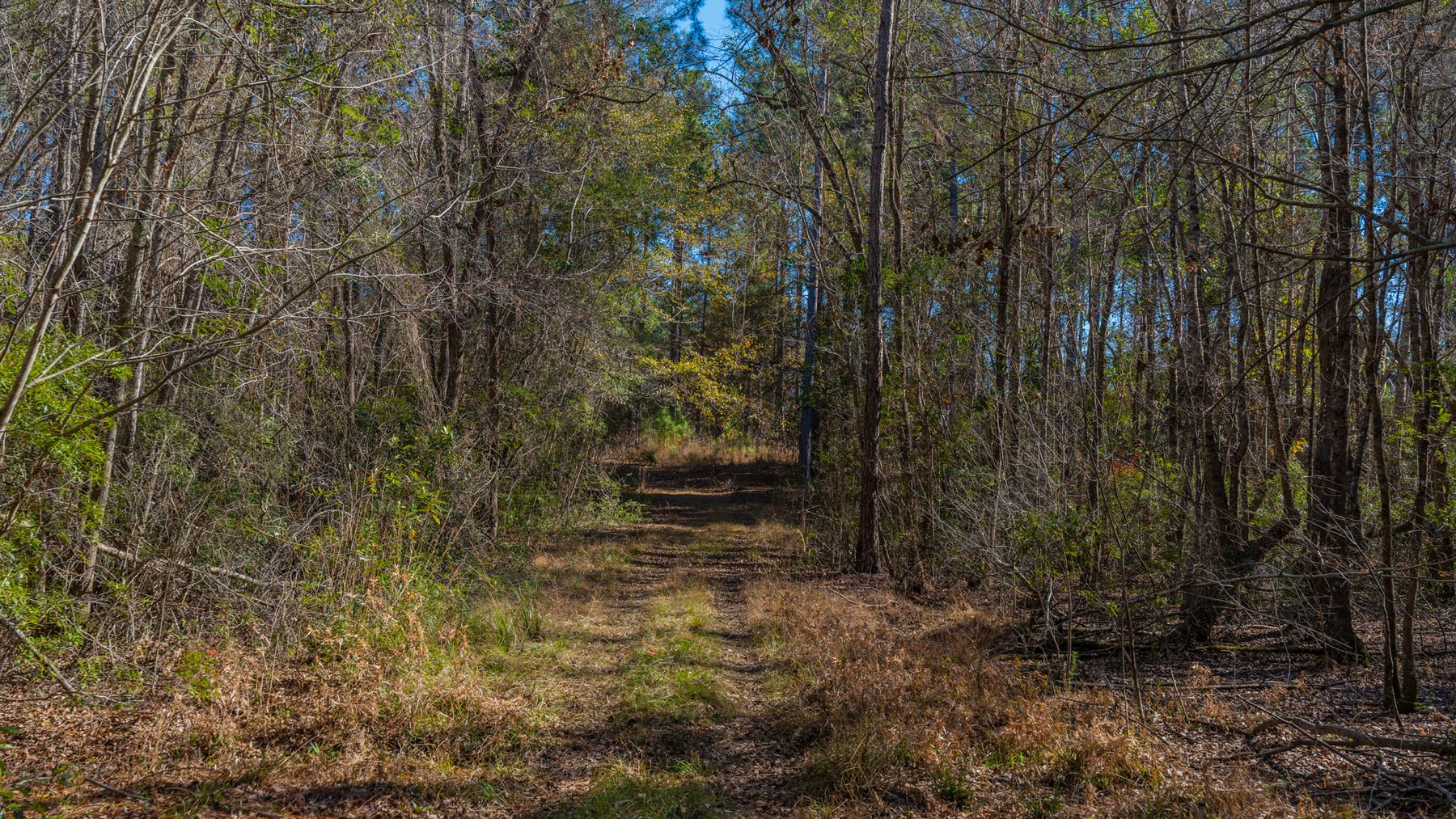 Image for 294+/- Acres – Hester Farm - Exceptional Hunting Opportunity - Versatile Farmland, Timber, & Ponds Offered Divided & as a Whole