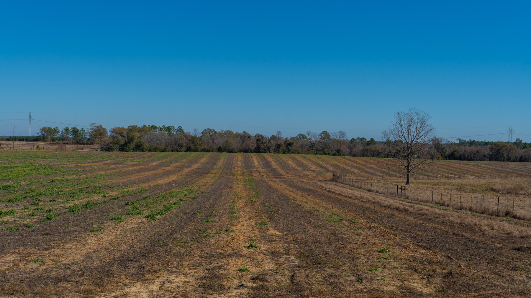 Image for 294+/- Acres – Hester Farm - Exceptional Hunting Opportunity - Versatile Farmland, Timber, & Ponds Offered Divided & as a Whole