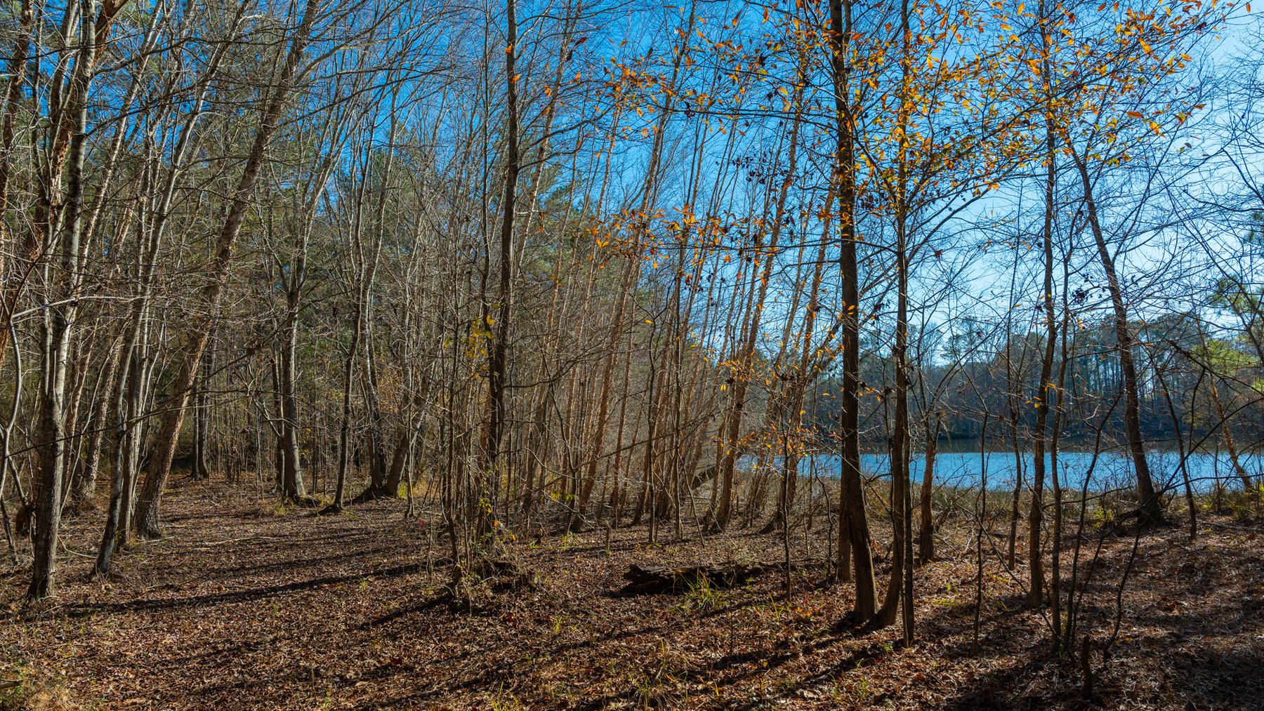Image for Margaret Kenworthy Estate - 199+/- Total Acres - 1,760 SF Southern Charm Home - Planted Pine, Hardwoods & Pond - Echeconnee Creek Frontage