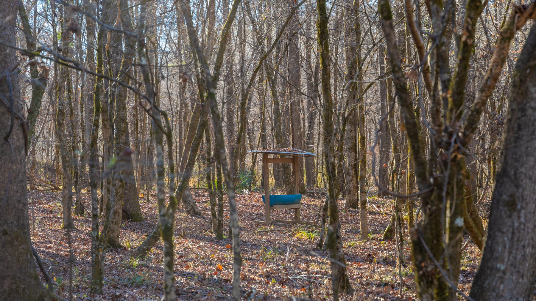 Image for Margaret Kenworthy Estate - 199+/- Total Acres - 1,760 SF Southern Charm Home - Planted Pine, Hardwoods & Pond - Echeconnee Creek Frontage