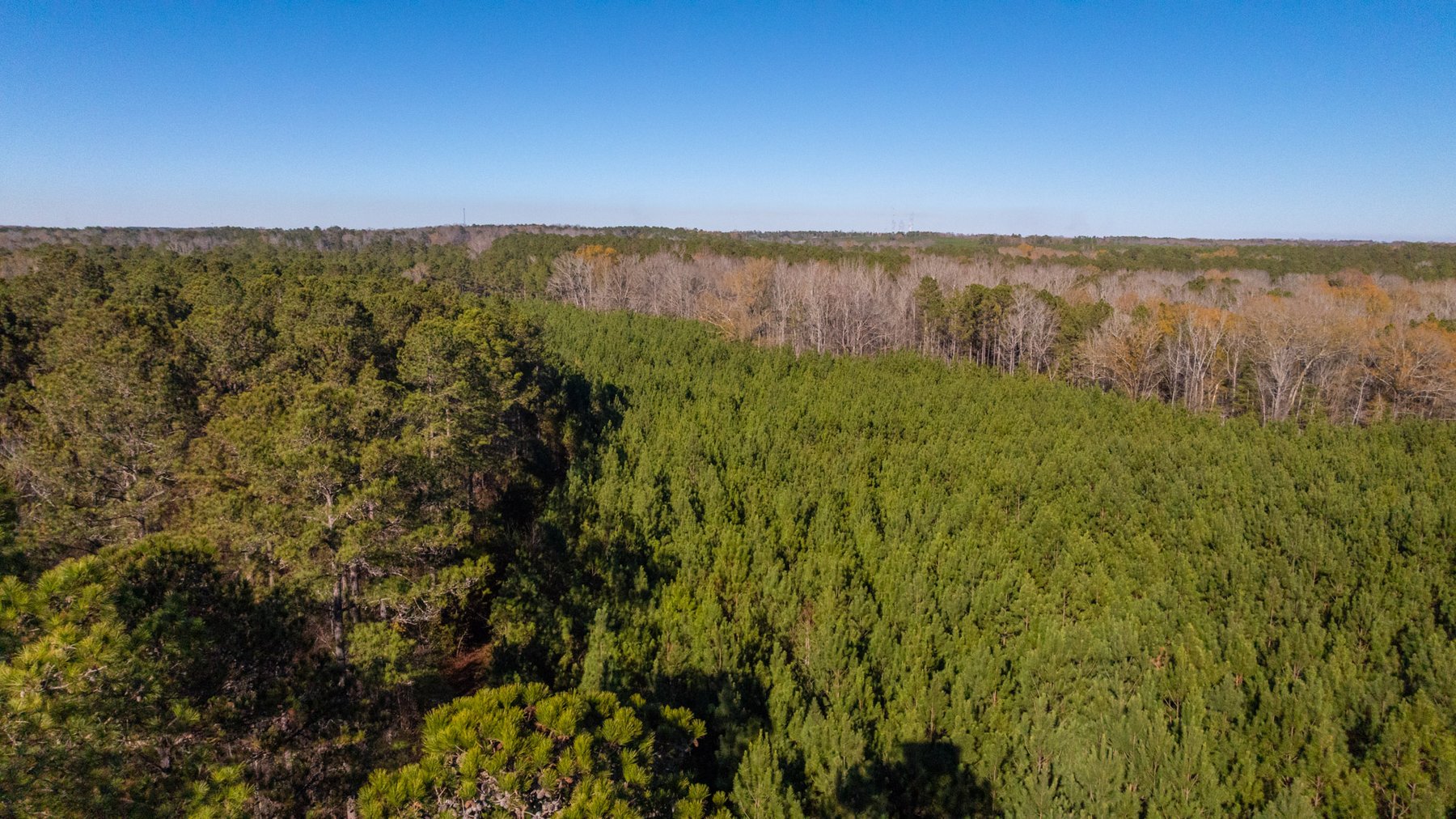 Image for Margaret Kenworthy Estate - 199+/- Total Acres - 1,760 SF Southern Charm Home - Planted Pine, Hardwoods & Pond - Echeconnee Creek Frontage