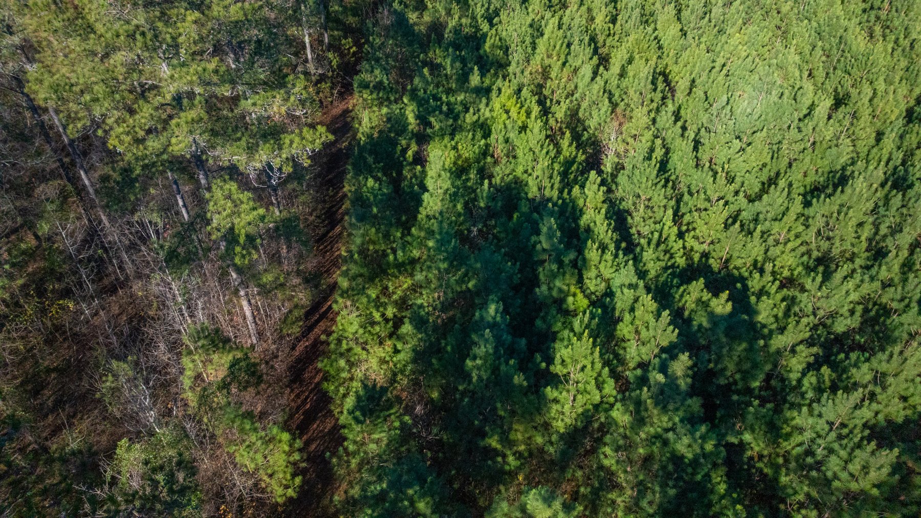 Image for Margaret Kenworthy Estate - 199+/- Total Acres - 1,760 SF Southern Charm Home - Planted Pine, Hardwoods & Pond - Echeconnee Creek Frontage