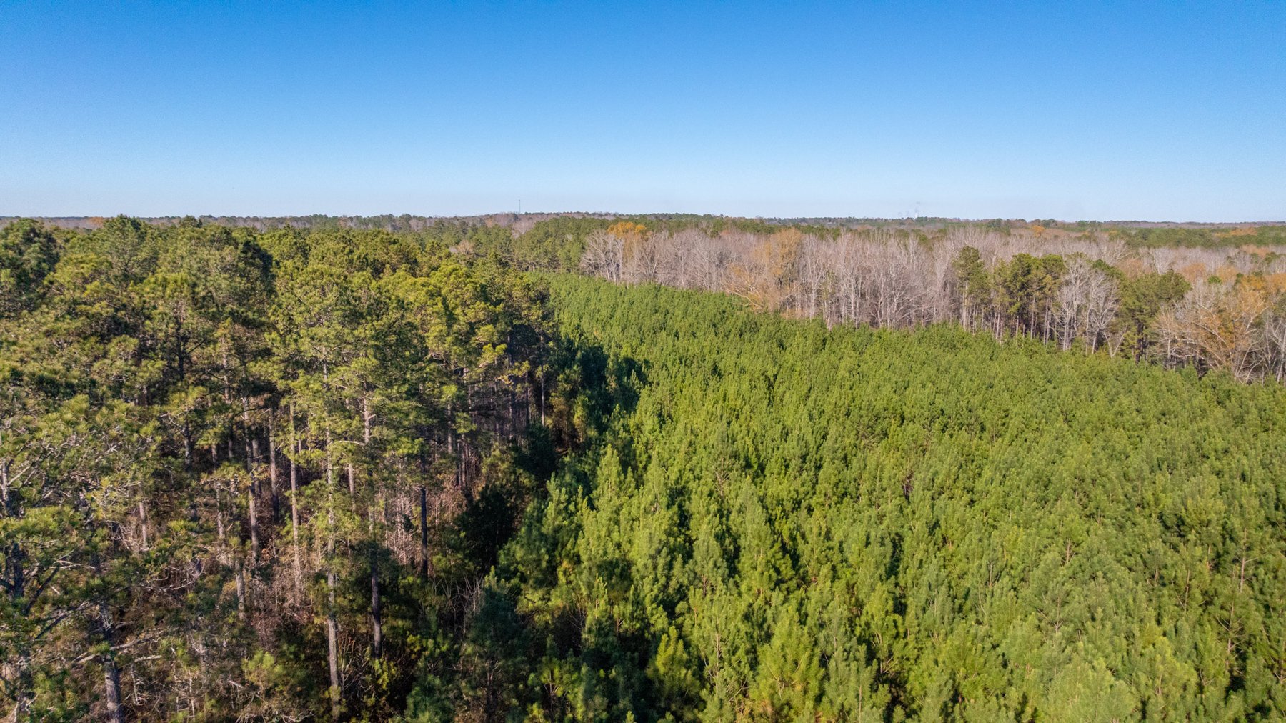 Image for Margaret Kenworthy Estate - 199+/- Total Acres - 1,760 SF Southern Charm Home - Planted Pine, Hardwoods & Pond - Echeconnee Creek Frontage