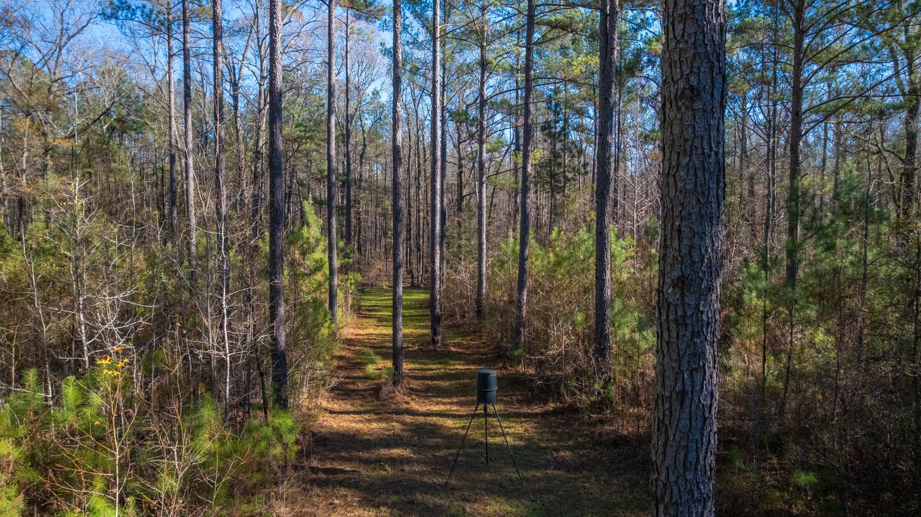Image for Margaret Kenworthy Estate - 199+/- Total Acres - 1,760 SF Southern Charm Home - Planted Pine, Hardwoods & Pond - Echeconnee Creek Frontage
