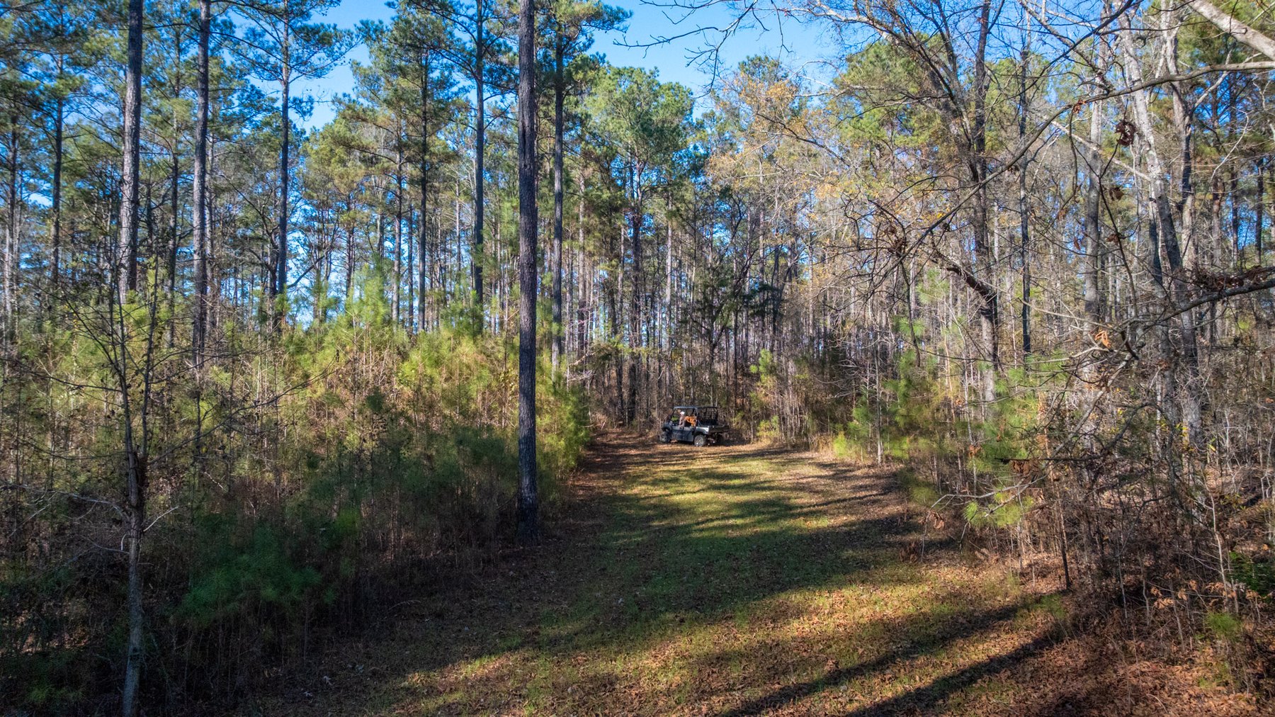 Image for Margaret Kenworthy Estate - 199+/- Total Acres - 1,760 SF Southern Charm Home - Planted Pine, Hardwoods & Pond - Echeconnee Creek Frontage