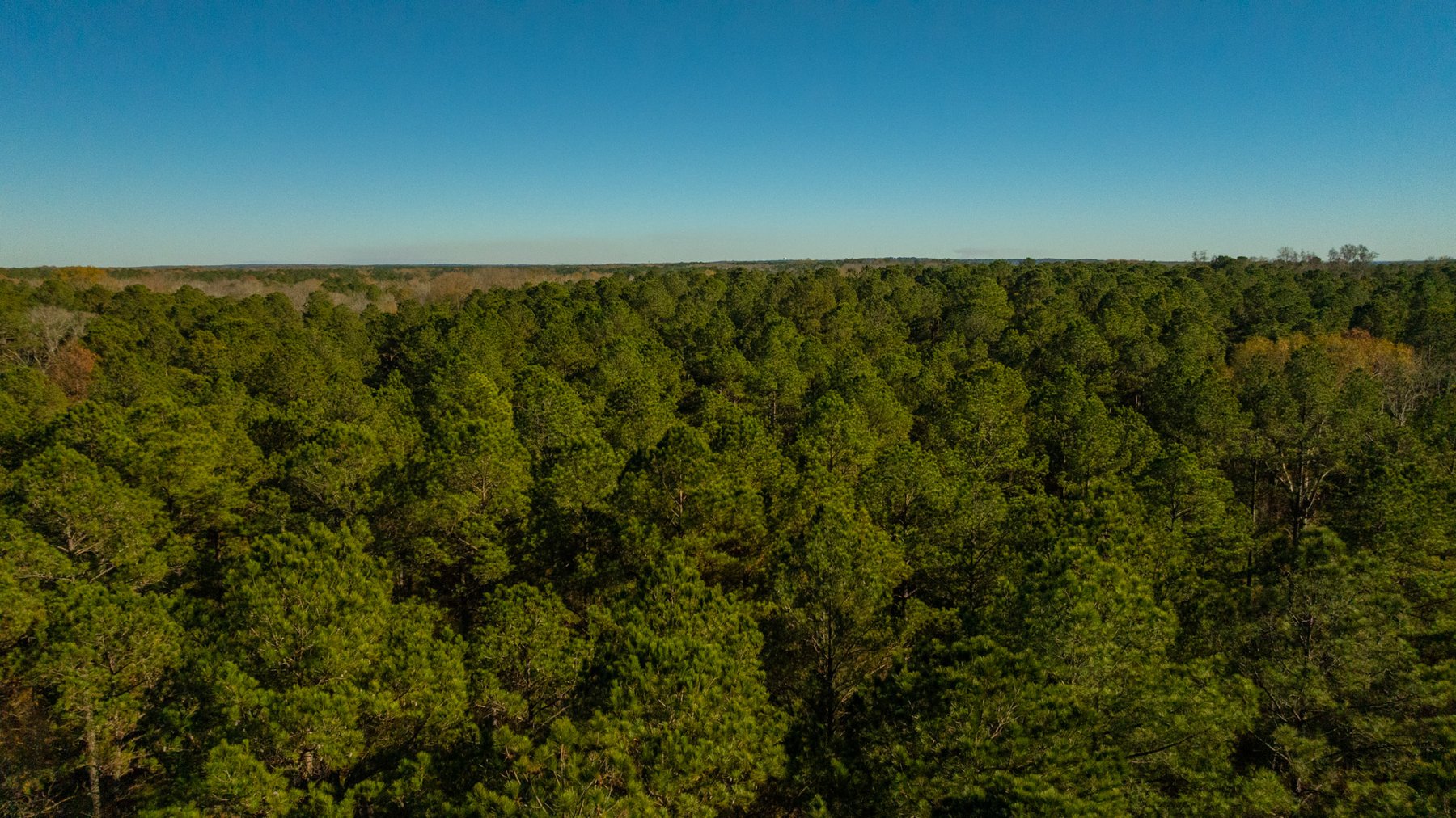 Image for Margaret Kenworthy Estate - 199+/- Total Acres - 1,760 SF Southern Charm Home - Planted Pine, Hardwoods & Pond - Echeconnee Creek Frontage