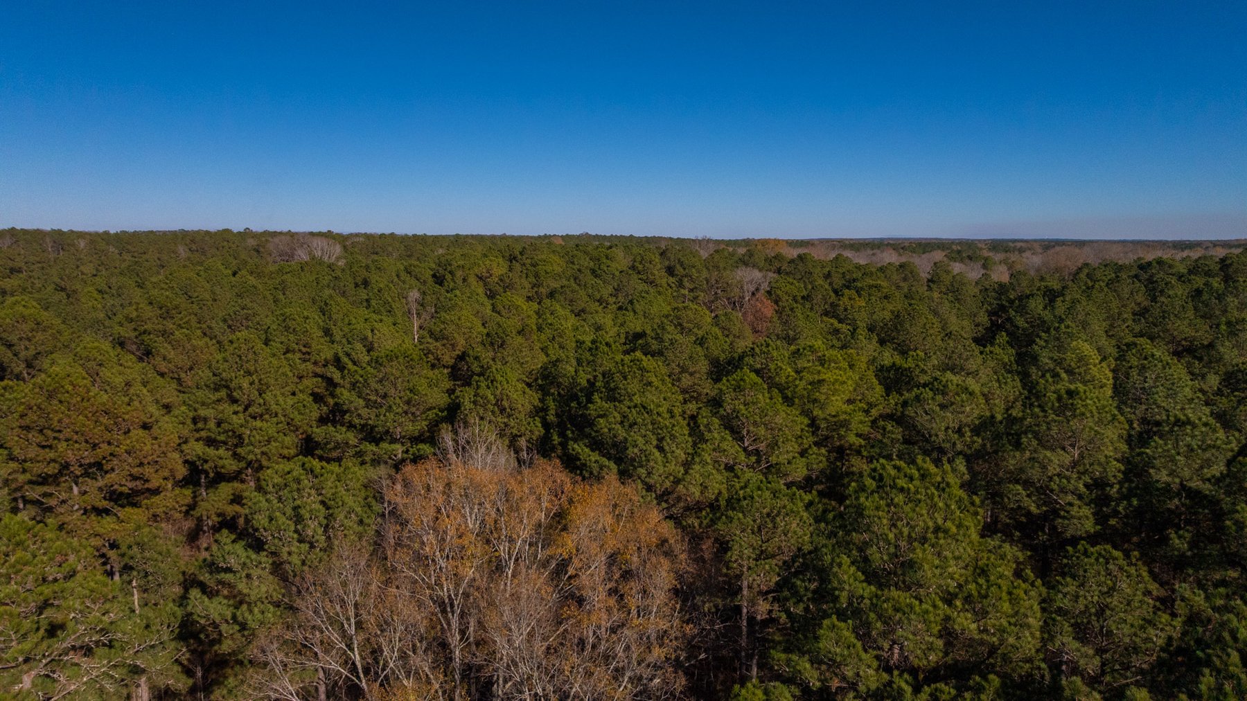 Image for Margaret Kenworthy Estate - 199+/- Total Acres - 1,760 SF Southern Charm Home - Planted Pine, Hardwoods & Pond - Echeconnee Creek Frontage