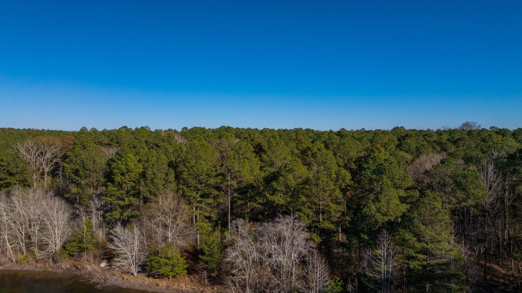 Image for Margaret Kenworthy Estate - 199+/- Total Acres - 1,760 SF Southern Charm Home - Planted Pine, Hardwoods & Pond - Echeconnee Creek Frontage