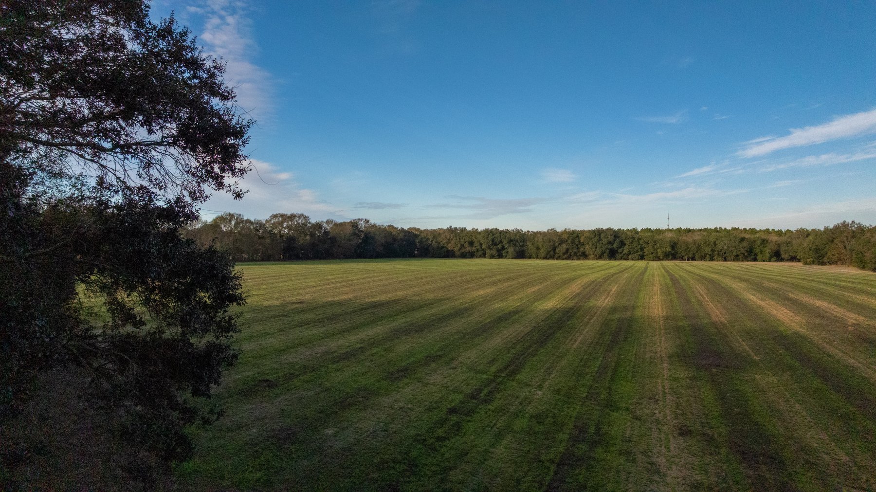 Image for The Cochran Farm - 328+/- Total Acres - Irrigated Row Crop Farm - Beautiful Pine & Hardwoods