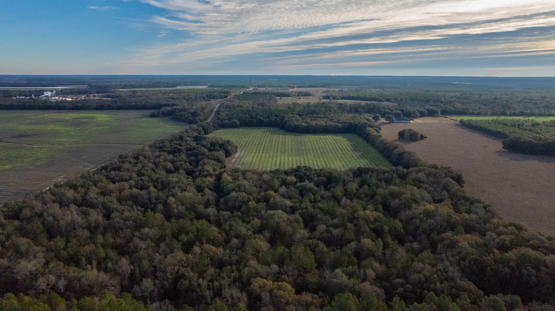Image for The Cochran Farm - 328+/- Total Acres - Irrigated Row Crop Farm - Beautiful Pine & Hardwoods