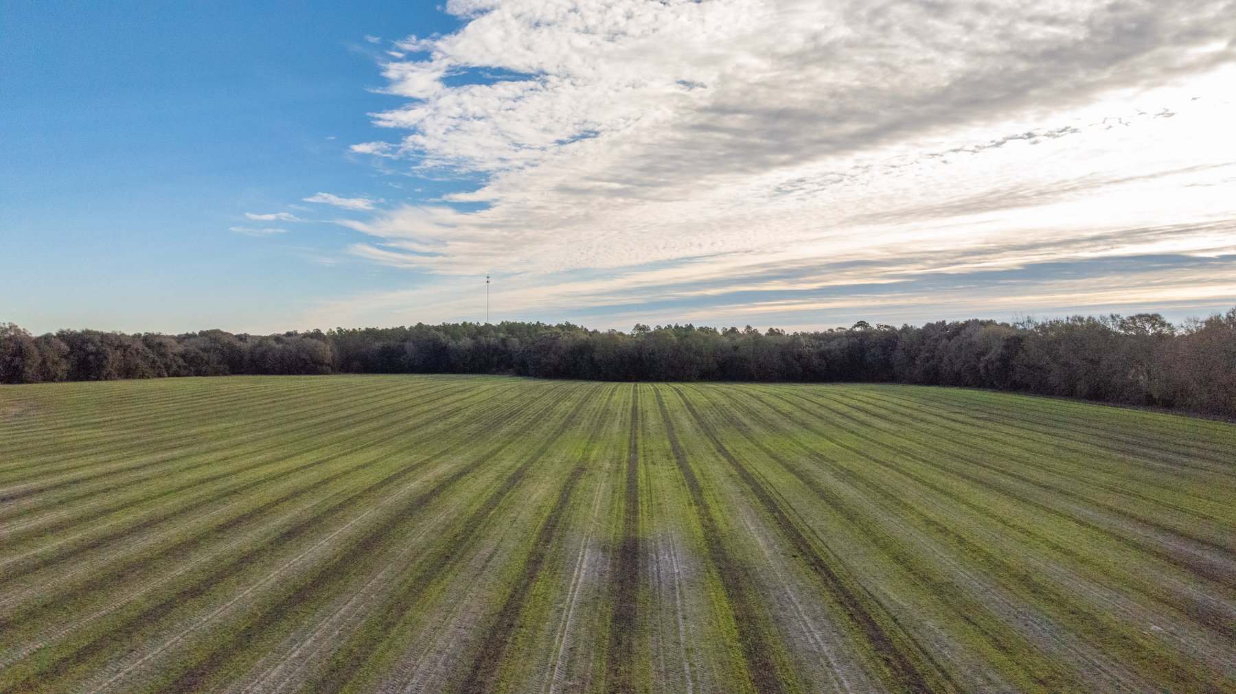 Image for The Cochran Farm - 328+/- Total Acres - Irrigated Row Crop Farm - Beautiful Pine & Hardwoods