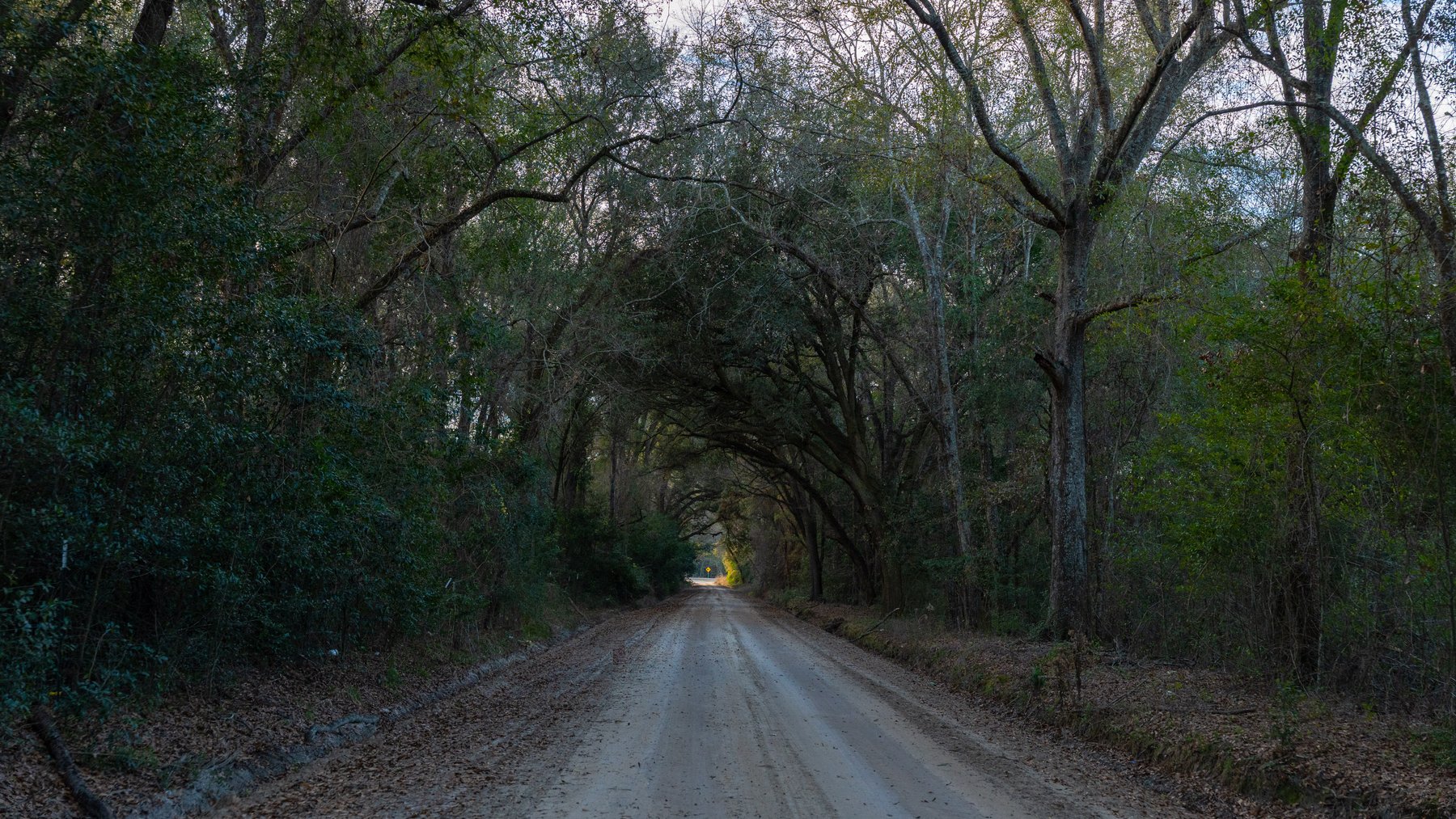 Image for The Cochran Farm - 328+/- Total Acres - Irrigated Row Crop Farm - Beautiful Pine & Hardwoods