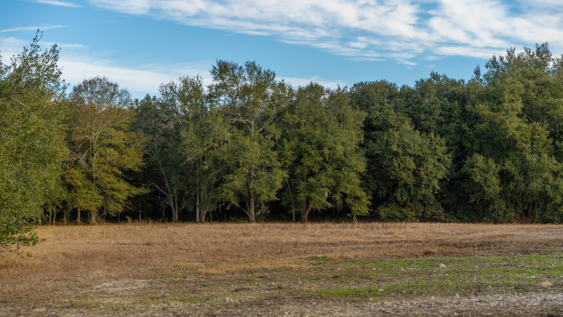 Image for The Cochran Farm - 328+/- Total Acres - Irrigated Row Crop Farm - Beautiful Pine & Hardwoods
