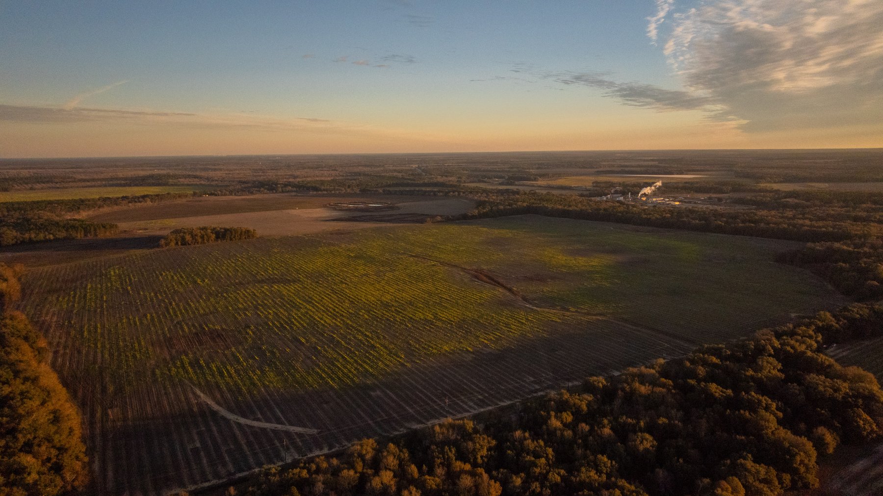 Image for The Cochran Farm - 328+/- Total Acres - Irrigated Row Crop Farm - Beautiful Pine & Hardwoods