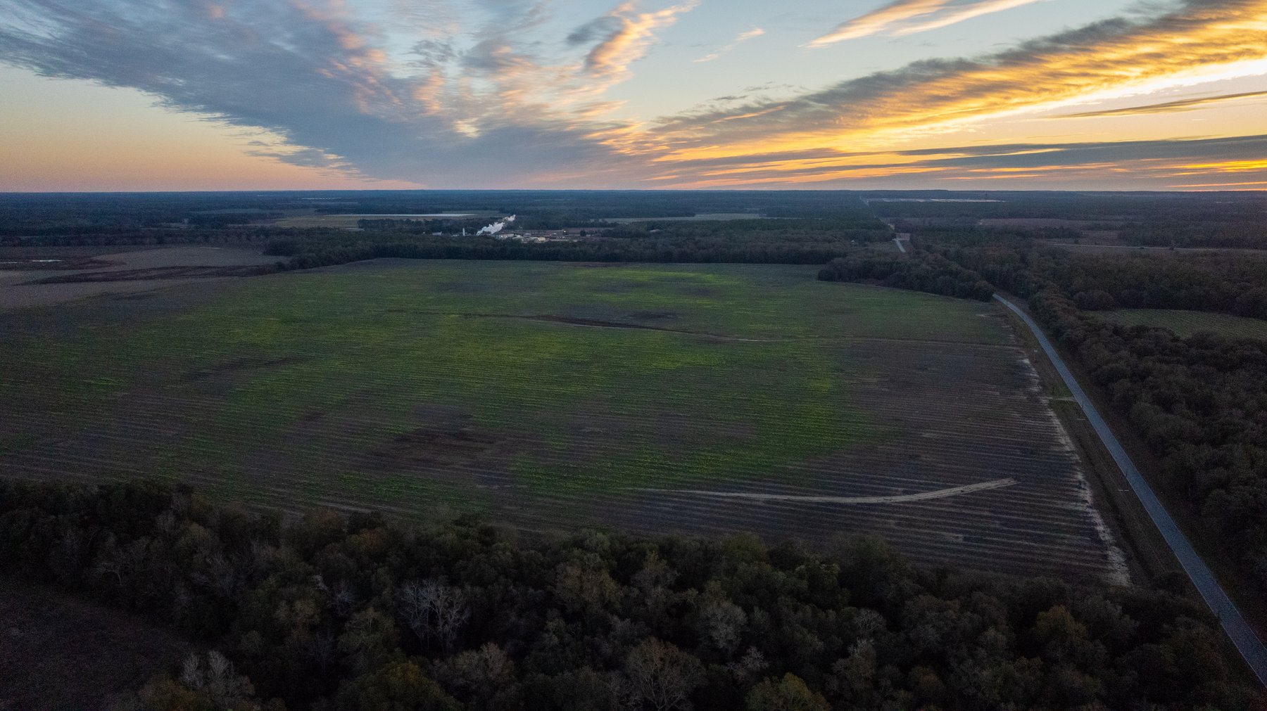 Image for The Cochran Farm - 328+/- Total Acres - Irrigated Row Crop Farm - Beautiful Pine & Hardwoods