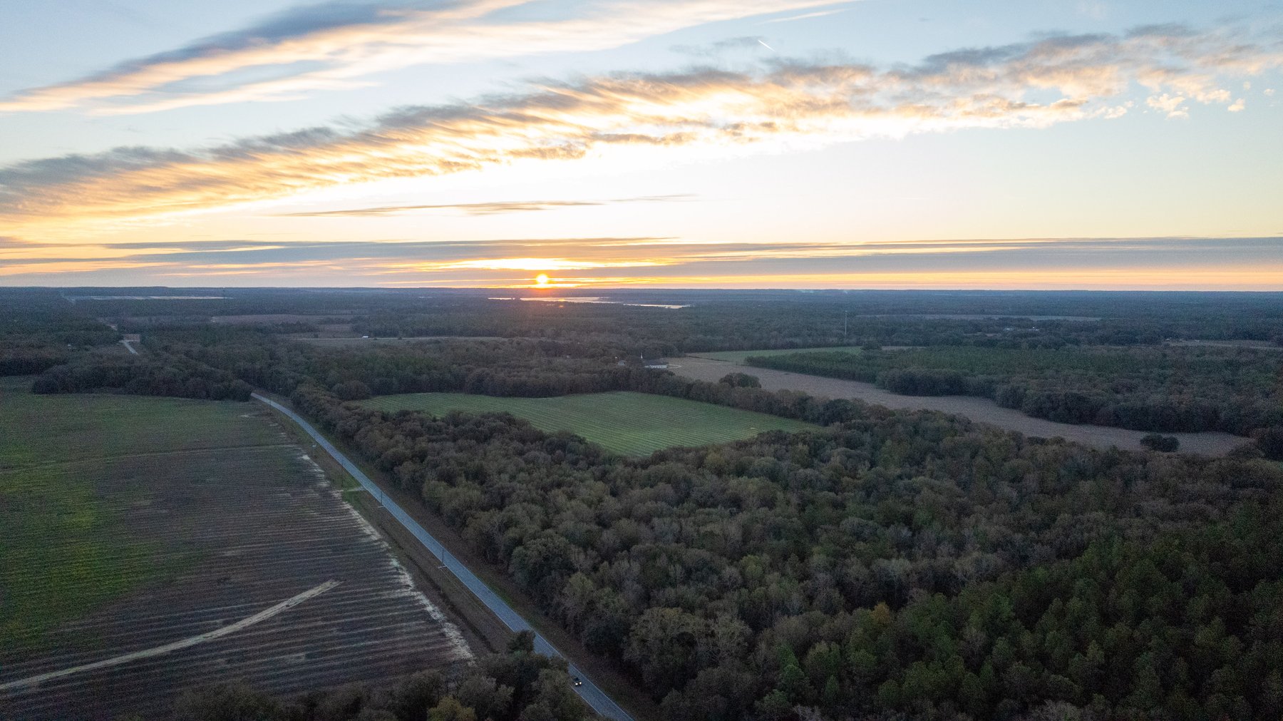 Image for The Cochran Farm - 328+/- Total Acres - Irrigated Row Crop Farm - Beautiful Pine & Hardwoods
