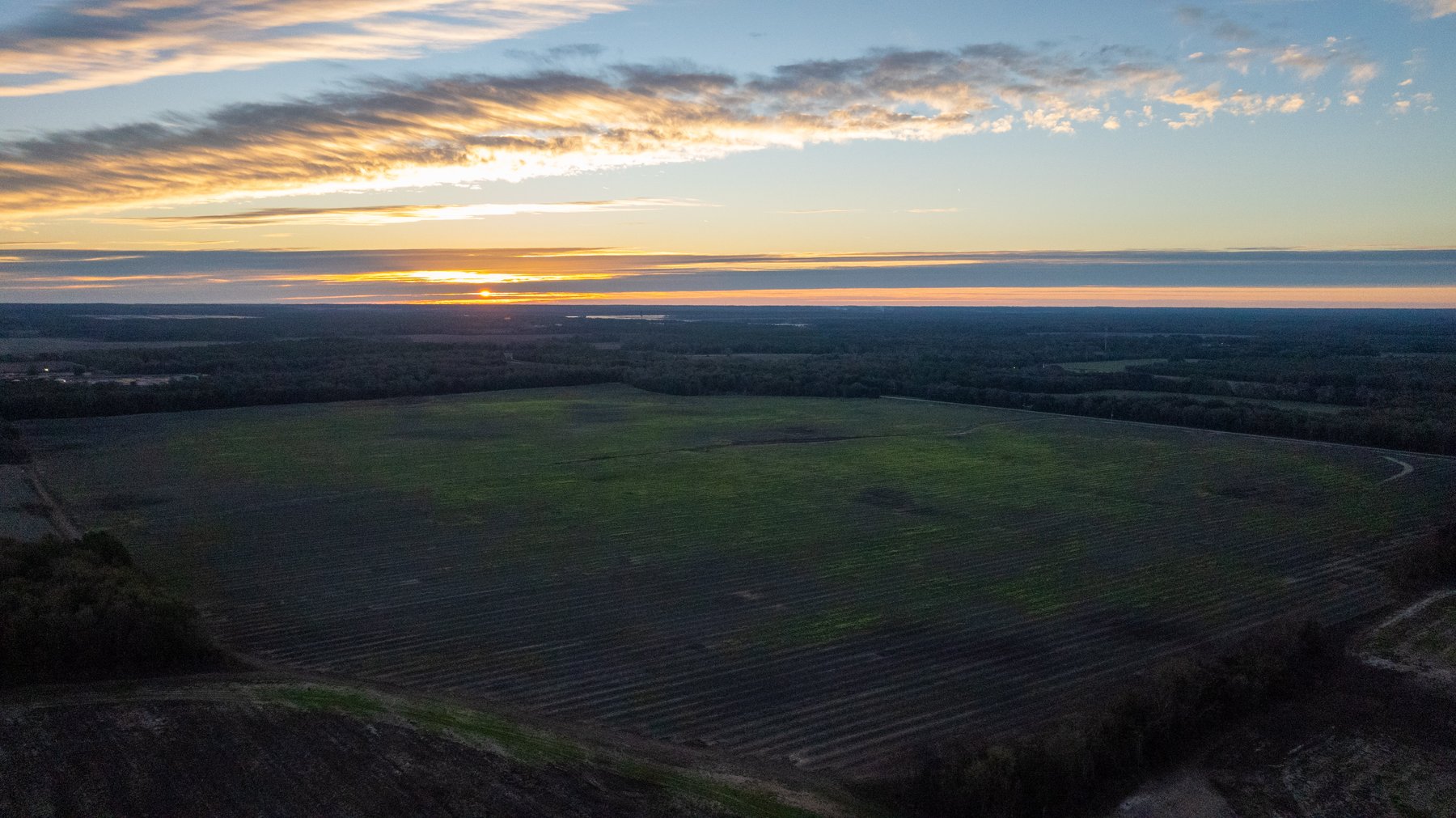 Image for The Cochran Farm - 328+/- Total Acres - Irrigated Row Crop Farm - Beautiful Pine & Hardwoods