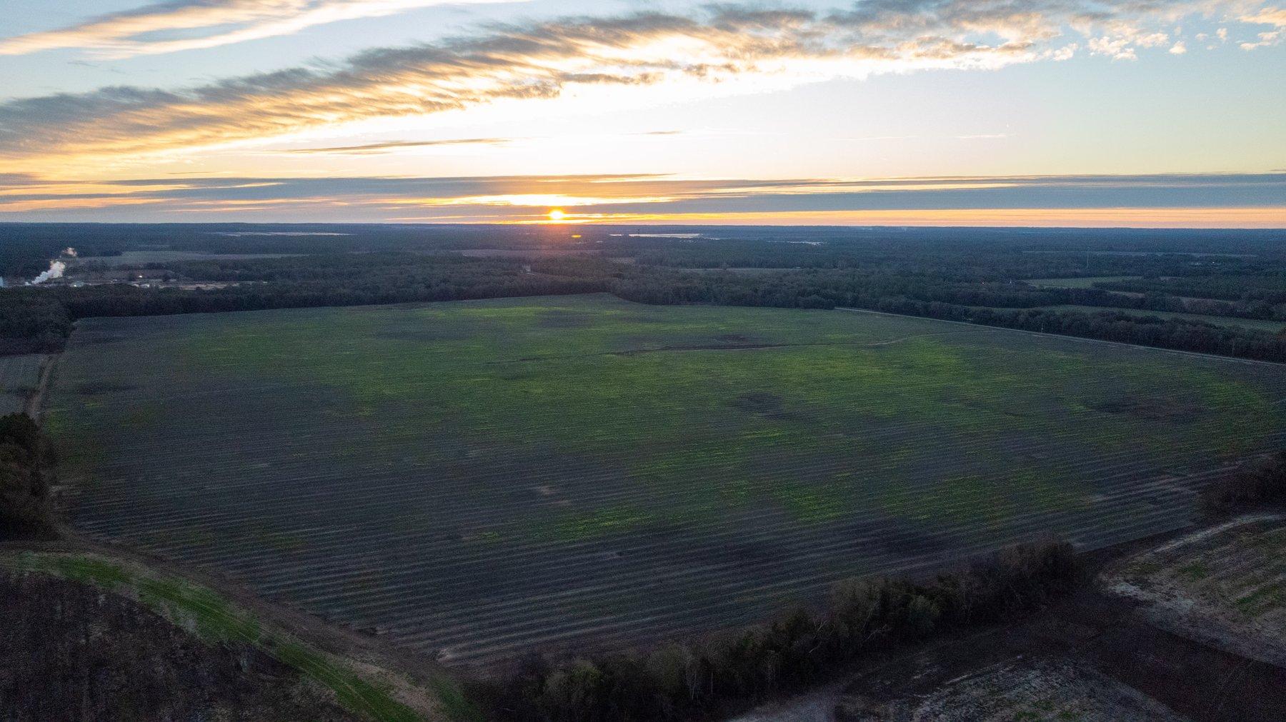 Image for The Cochran Farm - 328+/- Total Acres - Irrigated Row Crop Farm - Beautiful Pine & Hardwoods