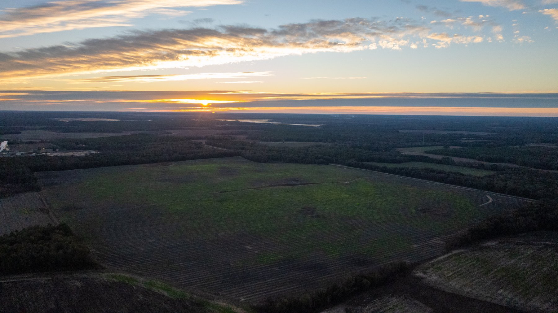 Image for The Cochran Farm - 328+/- Total Acres - Irrigated Row Crop Farm - Beautiful Pine & Hardwoods