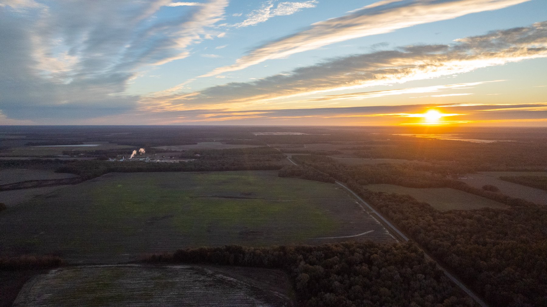 Image for The Cochran Farm - 328+/- Total Acres - Irrigated Row Crop Farm - Beautiful Pine & Hardwoods