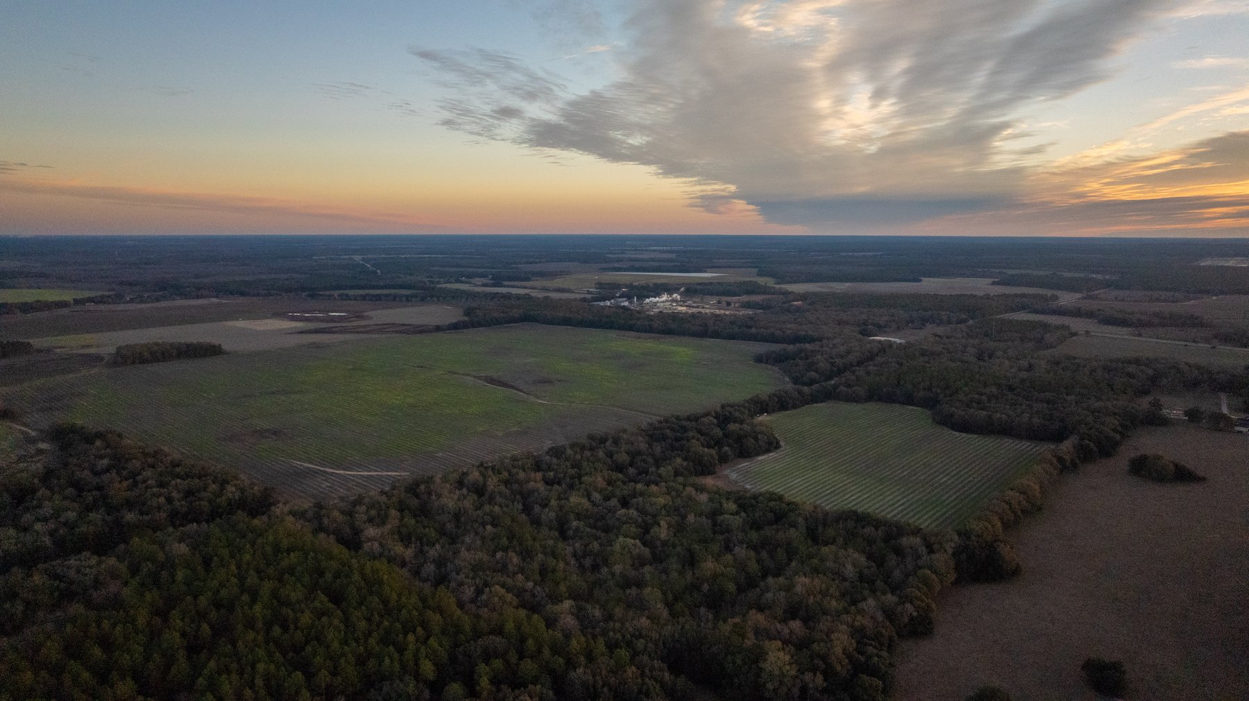 Image for The Cochran Farm - 328+/- Total Acres - Irrigated Row Crop Farm - Beautiful Pine & Hardwoods
