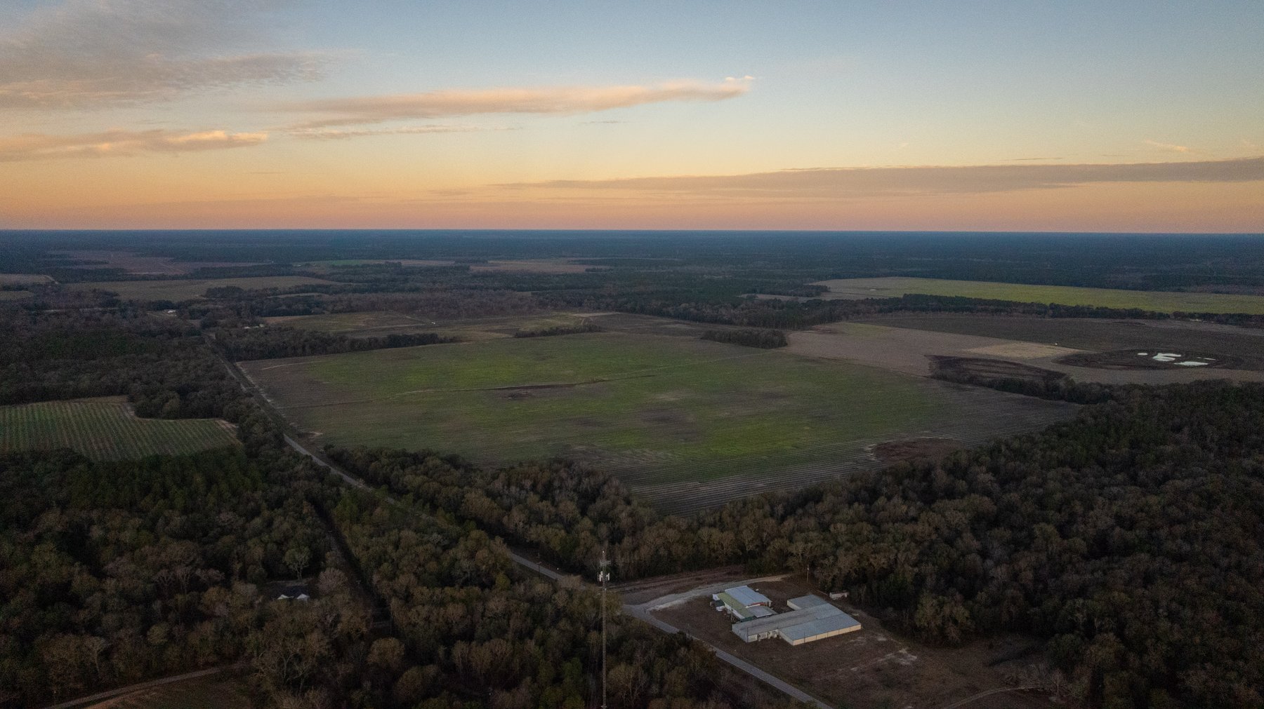 Image for The Cochran Farm - 328+/- Total Acres - Irrigated Row Crop Farm - Beautiful Pine & Hardwoods